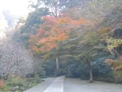 瑞泉寺のその他建物