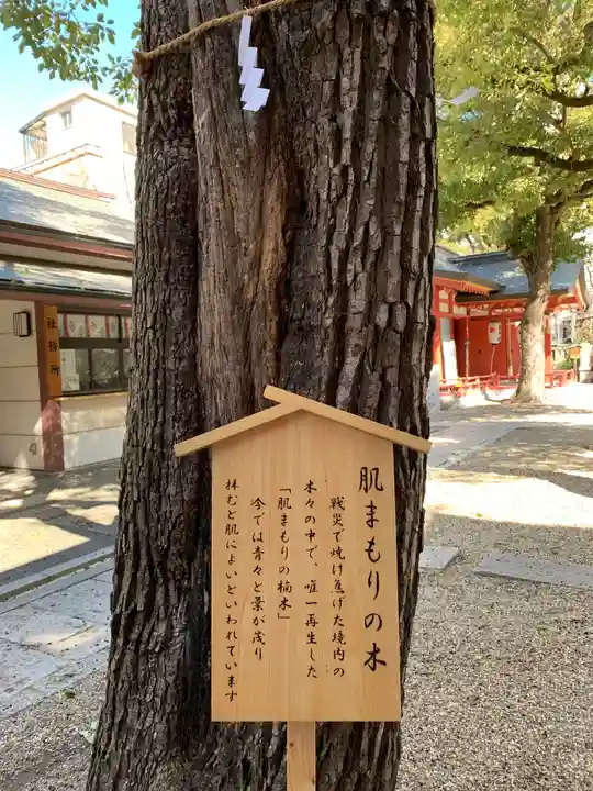 御霊神社の自然
