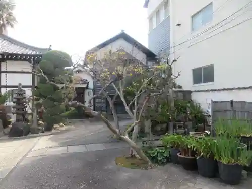 西念寺(大阪府)