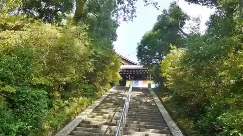 光明寺（粟生光明寺）の建物その他