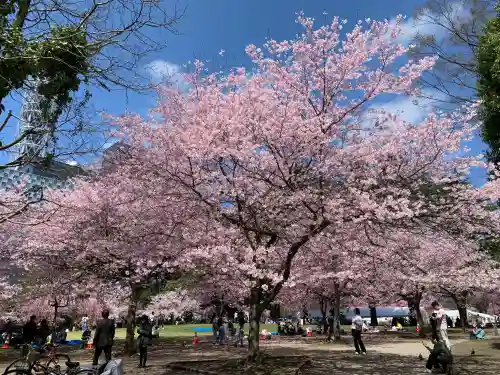 瀧澤神社の{uncategorized: "未分類", other: "その他", undefined: "問題あり", building: "その他建物", grave: "お墓", sacred_gate: "鳥居", guardian: "狛犬", statue: "像", buddha: "仏像", history: "歴史", nature: "自然", garden: "庭園", animal: "動物", pagoda: "塔", temizu: "手水舎", mountain_gate: "山門・神門", sanctuary: "本殿・本堂", subordinate: "末社・摂社", art: "芸術", scenery: "景色", jizo: "地蔵", ema: "絵馬", goshuin: "御朱印", omikuji: "おみくじ", items: "授与品その他", amulet: "お守り", goshuincho: "御朱印帳", eats: "食事", festival: "お祭り", votive_dance: "神楽", shichigosan: "七五三参", wedding: "結婚式", experience: "体験その他", initially: "初詣", around: "周辺", anti_infection: "感染症対策"}