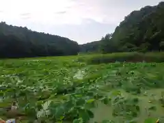 鹿島神社の周辺