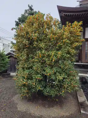 諏訪神社(神奈川県)