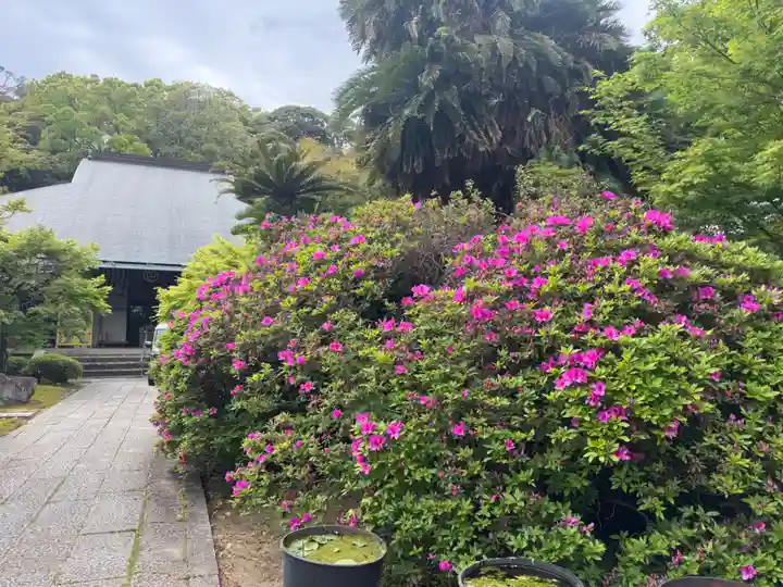伊勢の国 四天王寺(三重県)