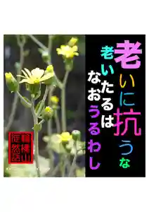 耕田院(山形県)(2024年02月09日(金) 05時05分46秒投稿)