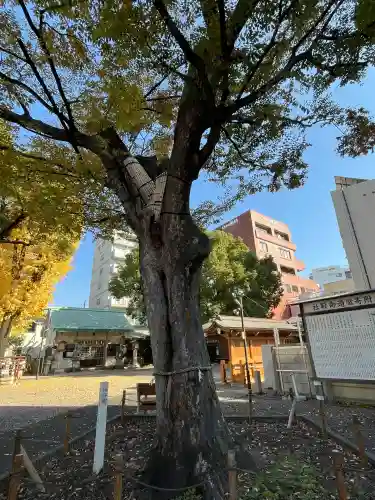 神明社（赤塚神明社）(愛知県)