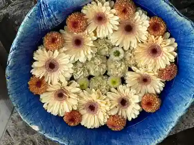 川越八幡宮(埼玉県)