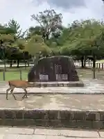 東大寺(奈良県)