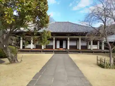 天王寺の本殿・本堂