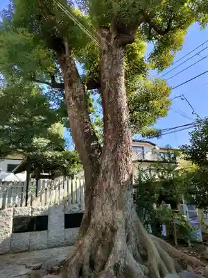 多田神社(東京都)