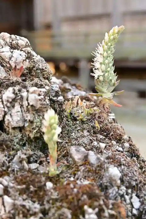 賀茂神社(愛媛県)
