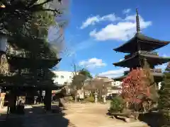 飛騨国分寺(岐阜県)