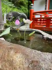 鞍馬寺(京都府)