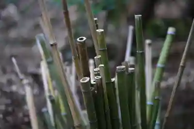 長浜神社のその他建物