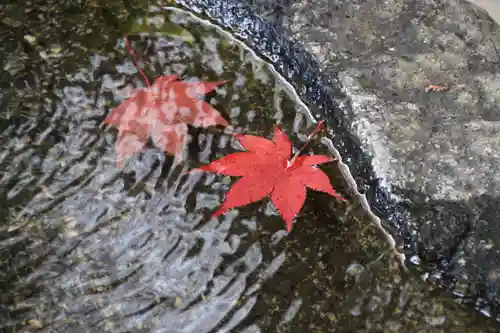 鹿島大神宮の手水