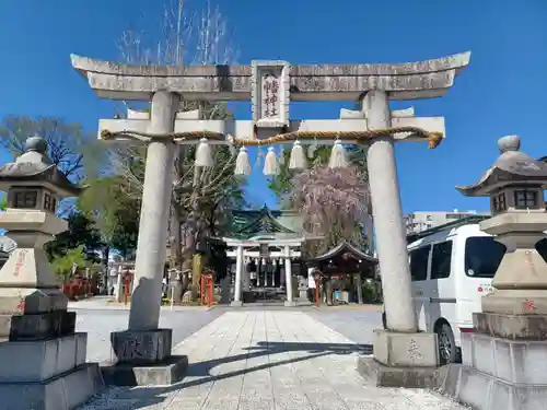 川越八幡宮(埼玉県)