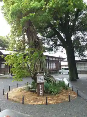 伊古奈比咩命神社(静岡県)