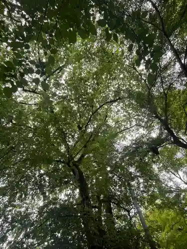 竜神宮(栃木県)