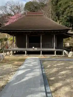 金蓮寺の本殿・本堂