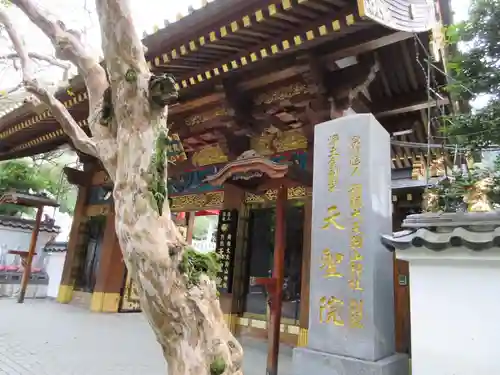 浄土金剛宗 天聖院(神奈川県)