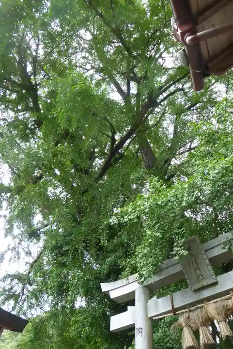 與喜天満神社(奈良県)