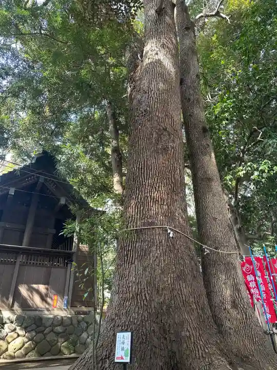 鶴嶺八幡宮の{uncategorized: "未分類", other: "その他", undefined: "問題あり", building: "その他建物", grave: "お墓", sacred_gate: "鳥居", guardian: "狛犬", statue: "像", buddha: "仏像", history: "歴史", nature: "自然", garden: "庭園", animal: "動物", pagoda: "塔", temizu: "手水舎", mountain_gate: "山門・神門", sanctuary: "本殿・本堂", subordinate: "末社・摂社", art: "芸術", scenery: "景色", jizo: "地蔵", ema: "絵馬", goshuin: "御朱印", omikuji: "おみくじ", items: "授与品その他", amulet: "お守り", goshuincho: "御朱印帳", eats: "食事", festival: "お祭り", votive_dance: "神楽", shichigosan: "七五三参", wedding: "結婚式", experience: "体験その他", initially: "初詣", around: "周辺", anti_infection: "感染症対策"}