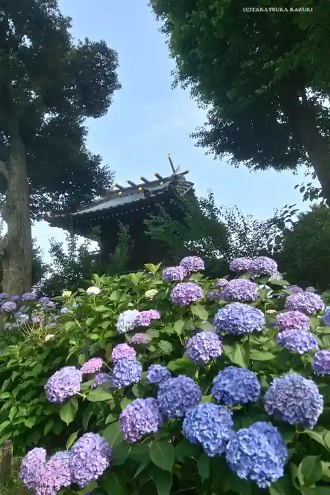 白山神社の庭園