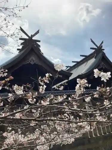 住吉神社の自然