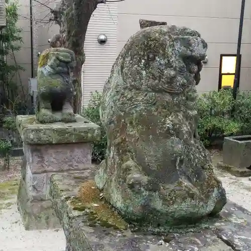 上平井天祖神社の狛犬