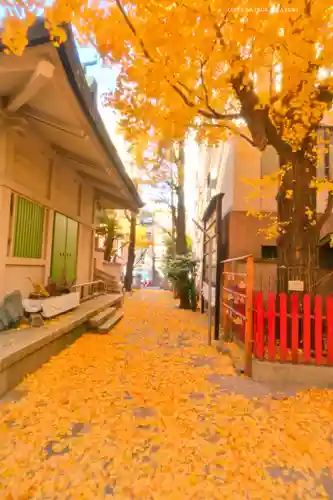 銀杏岡八幡神社(東京都)