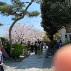 鶴岡八幡宮の建物その他