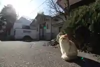 唐澤山神社(栃木県)
