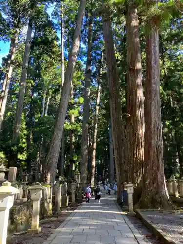 高野山金剛峯寺奥の院(和歌山県)