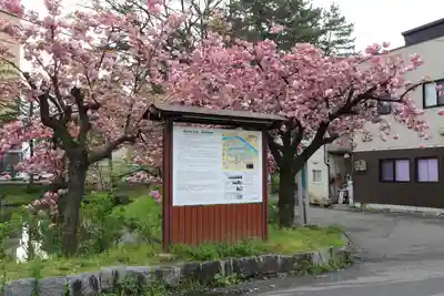 櫻山神社の周辺