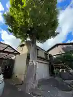 班女塚(京都府)