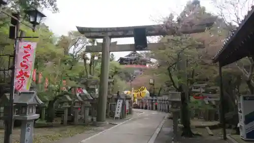 朝護孫子寺の鳥居