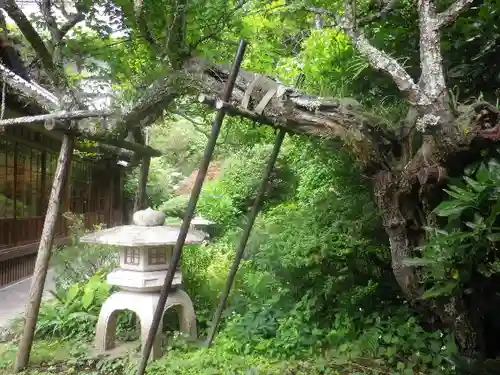 岩殿寺の庭園