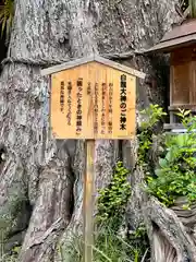 吉祥草寺(奈良県)