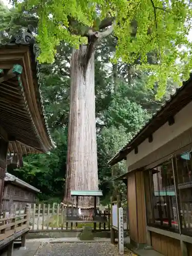 事任八幡宮のその他建物
