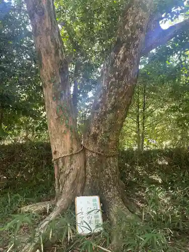 亀山八幡神社(三重県)