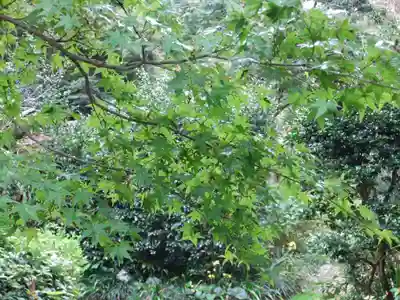 妙湛寺(山口県)