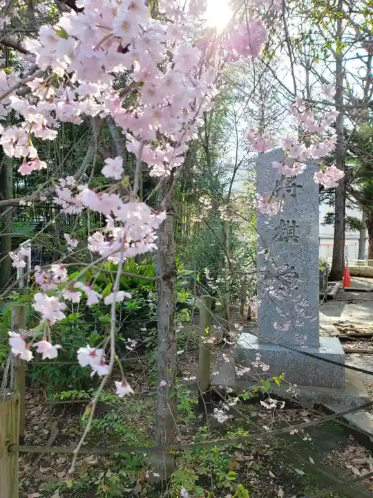 鳩森八幡神社の自然