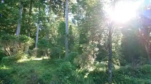 八海山尊神社の周辺