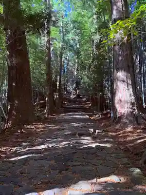 熊野那智大社(和歌山県)