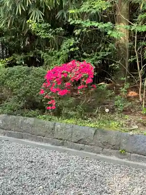 大崎八幡宮(宮城県)