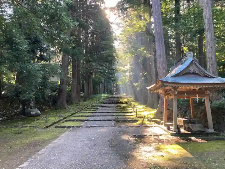 平泉寺白山神社(福井県)