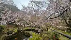 浄瑠璃寺(京都府)