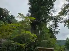 丹生川上神社（中社）(奈良県)