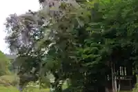 熊野大権現堂の自然