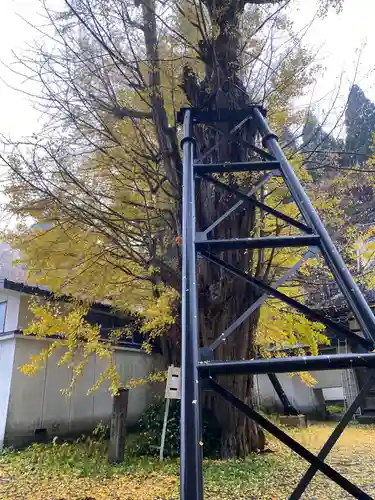 信正寺(秋田県)